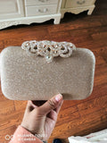 new fashion Sequined Scrub Clutch Women's Evening Bags