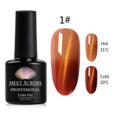 MEET ACROSS 3D/9D Chameleon Cat Eyes Gel Polish