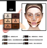 6 color Natural Professional Concealer Palettes makeup