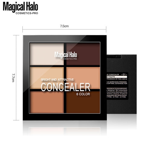 6 color Natural Professional Concealer Palettes makeup