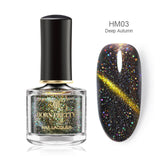 BORN PRETTY 3D Magnetic Glitter Nail Polish 6ml Holographic Chameleon Cat Eye Nail Varnish Nail Lacquer Black Base Needed